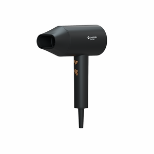 Hotel Special Anion Hair Dryer Golden