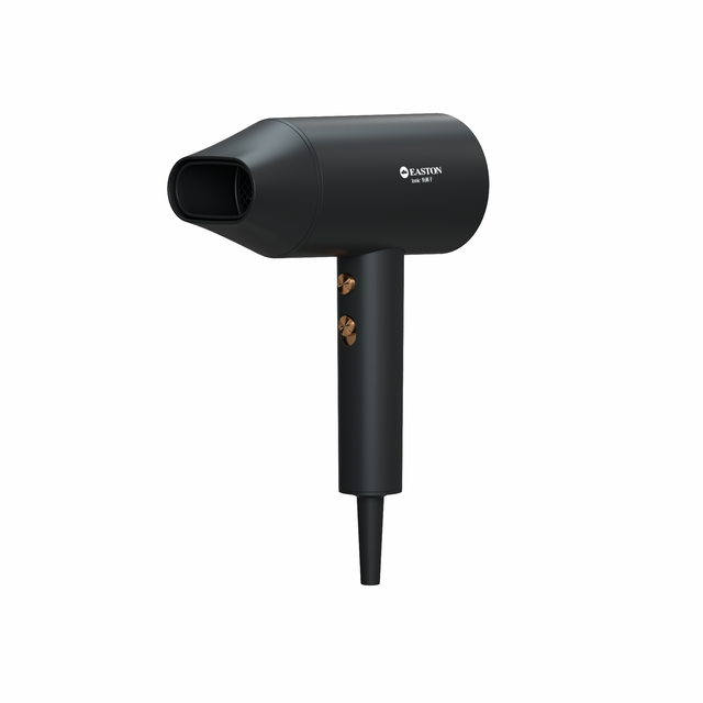 Hotel Special Anion Hair Dryer Golden
