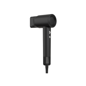 Hotel Custom Logo Ion Technology Quiet Hair Dryer Wholesale Price