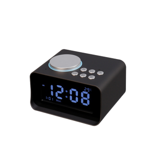 Bluetooth Docking Station with FM Function