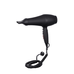 hair dryer.png